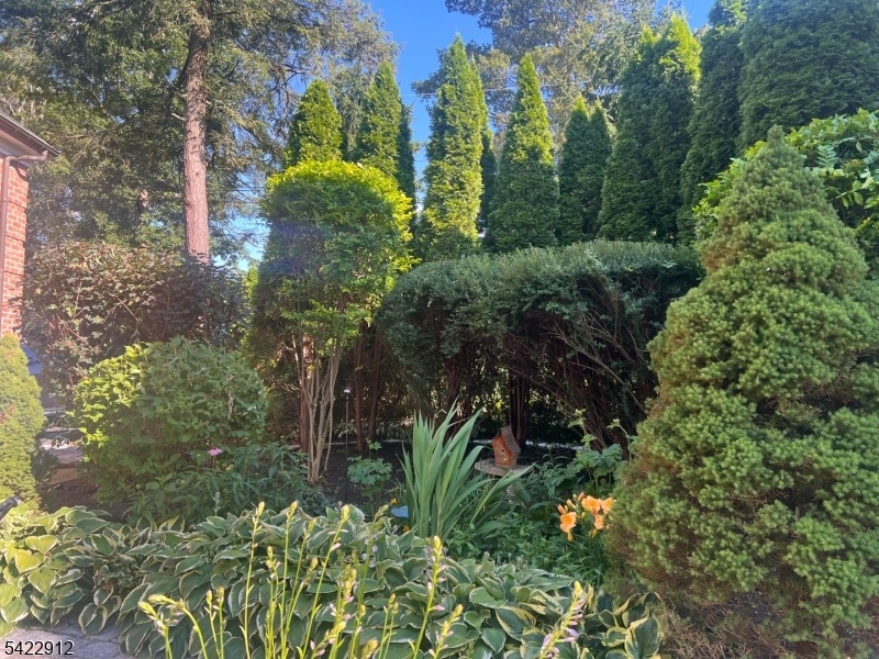 Landscaped Yard