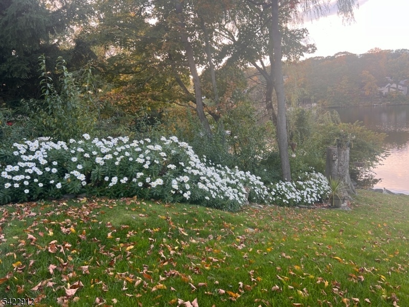 Flowering Bushes