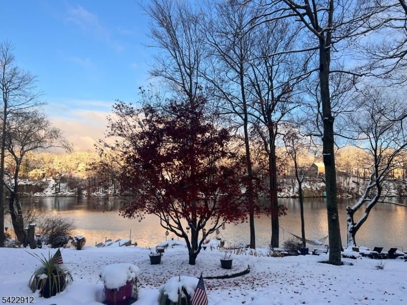 Winter Views