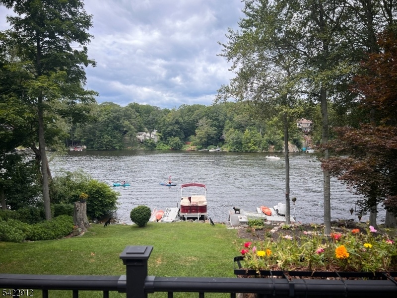 Lake Views