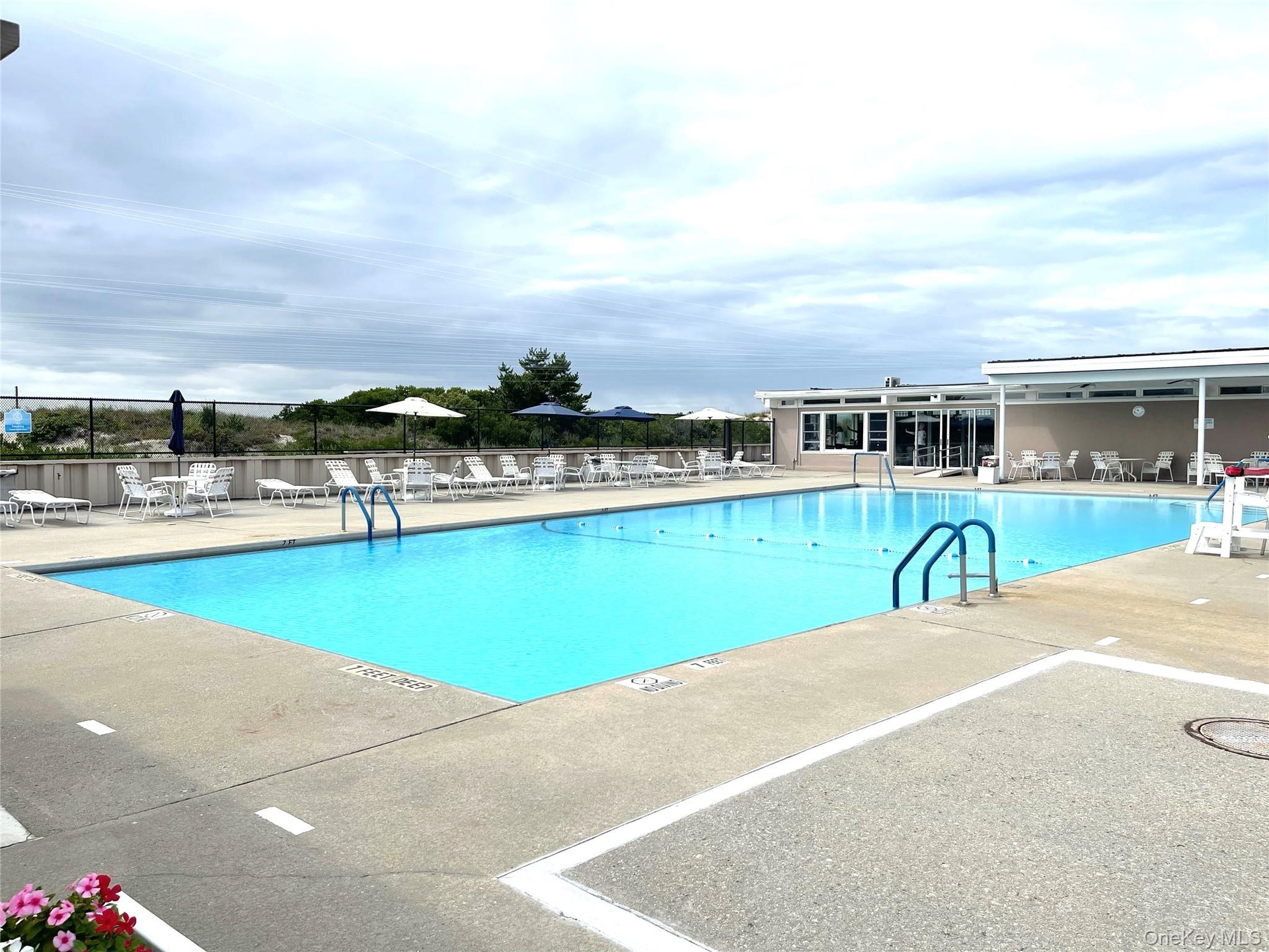 Solar heated pool