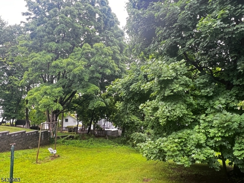 Huge Backyard