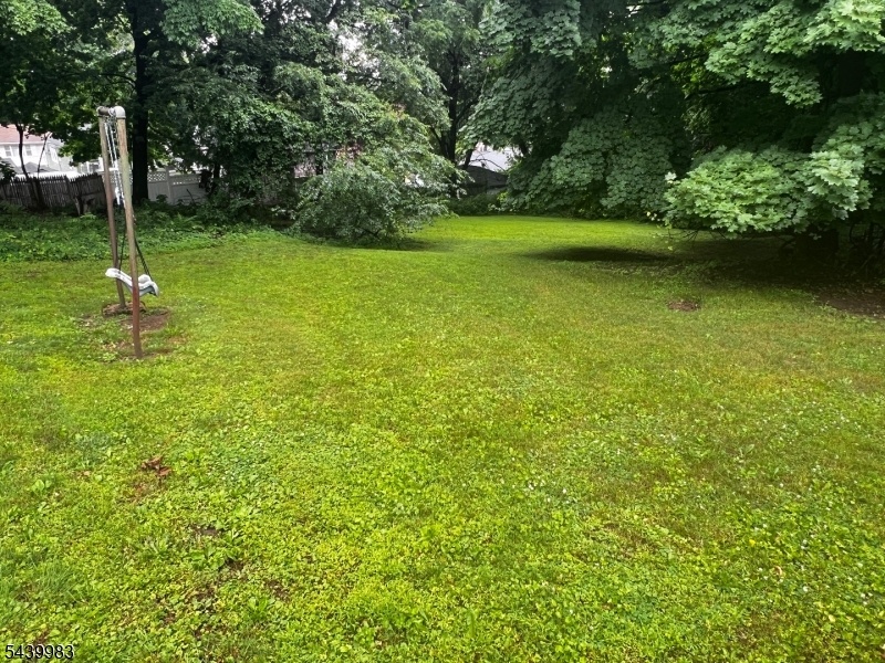 Backyard View