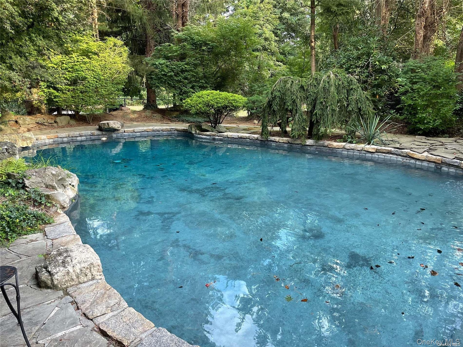 Free form heated pool