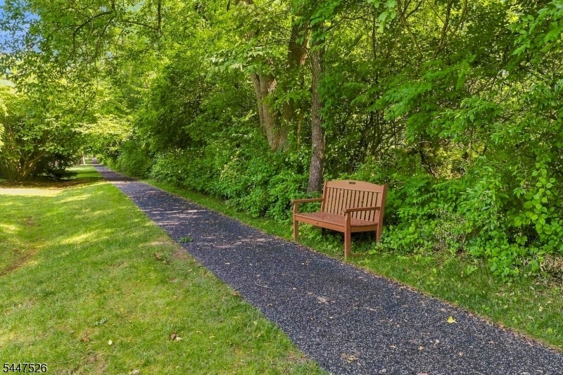 Walking Path