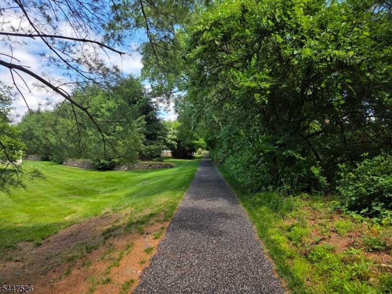 Walking Path