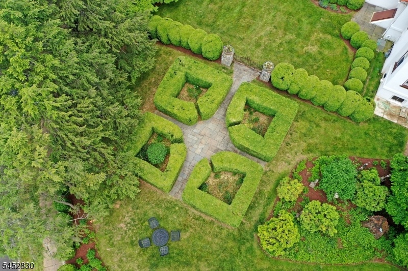 Drone view of the Grounds