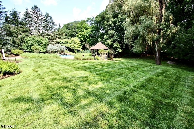 Beautiful yard