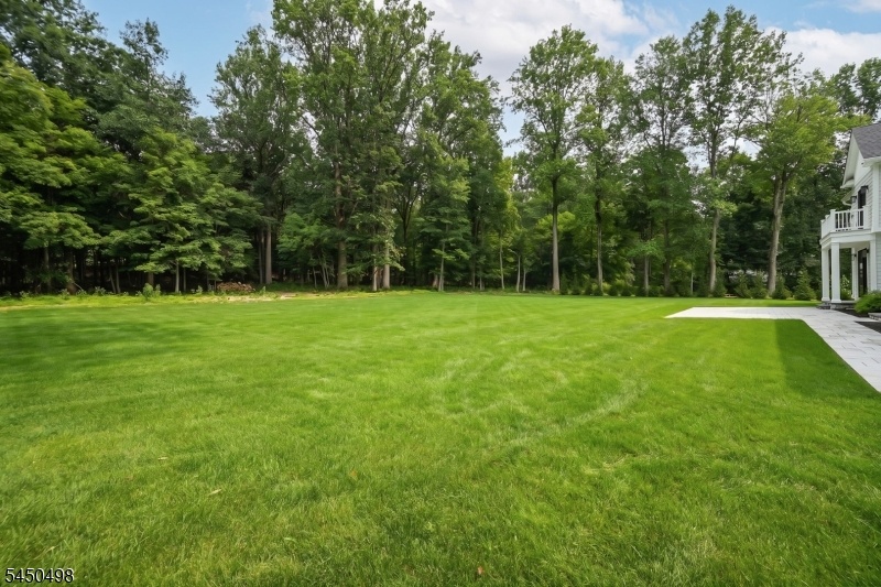 Rear yard
