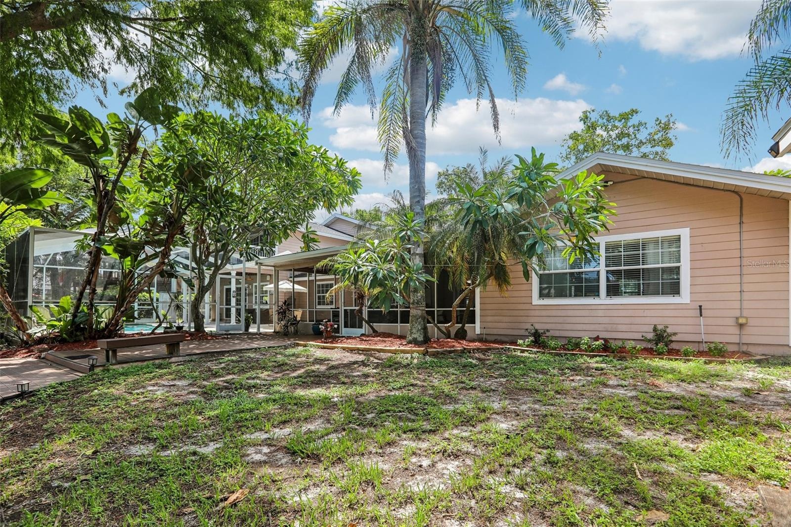 Back yard