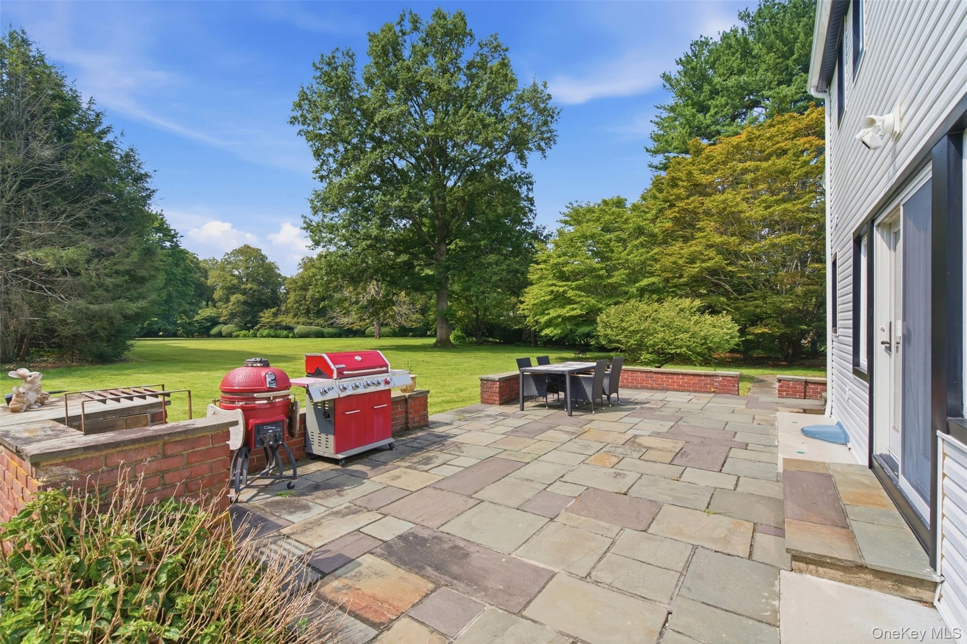 Rear bluestone patio