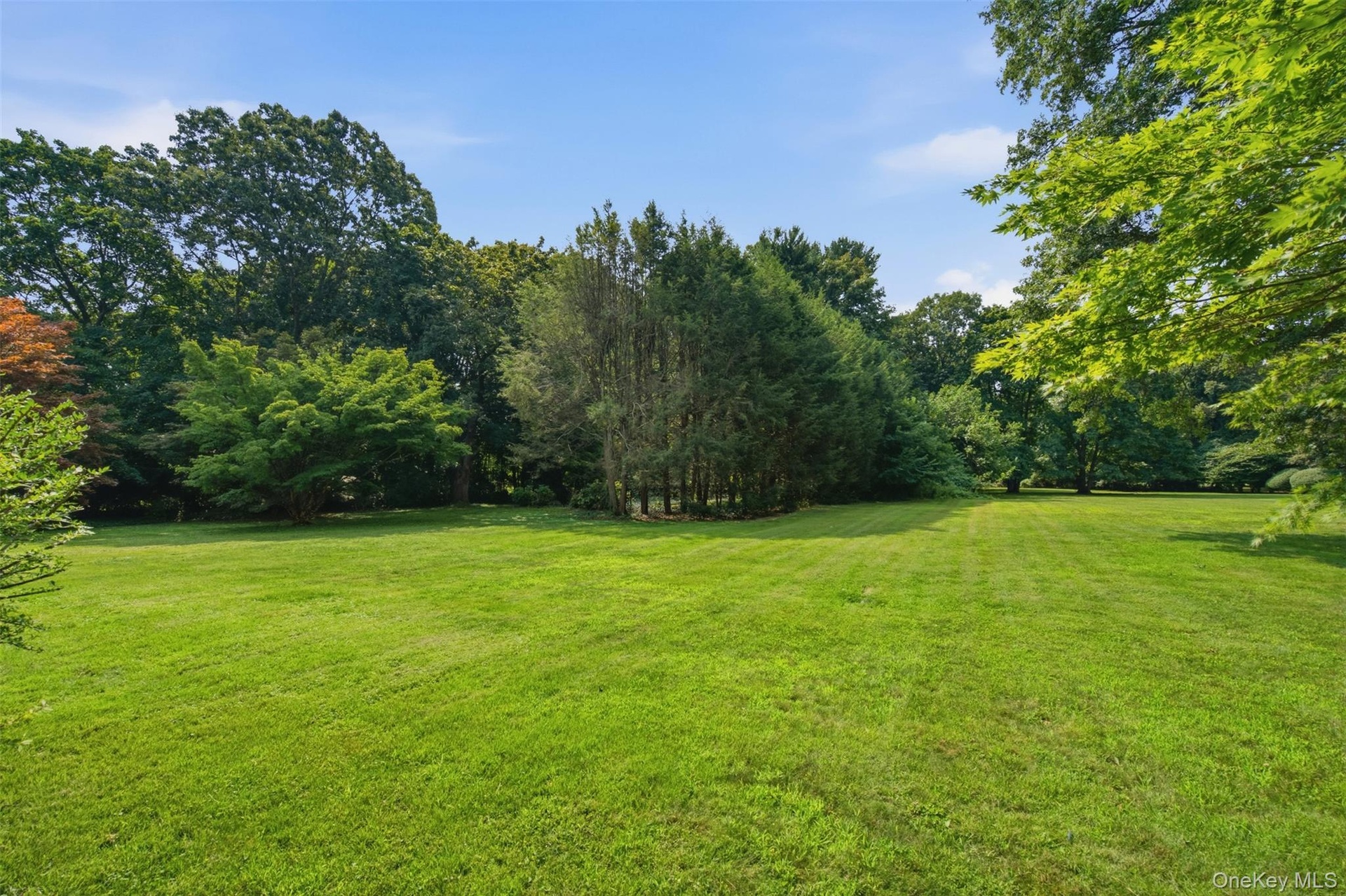 Rear flat lawn