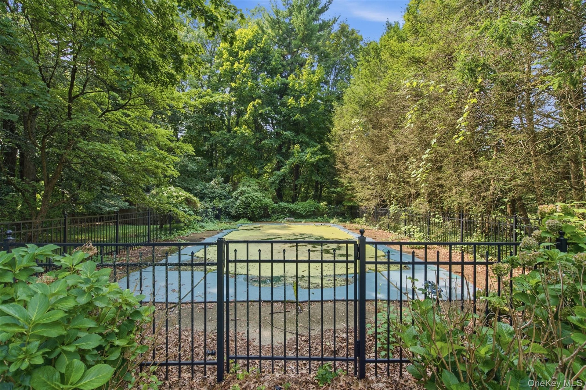 Fenced in pool