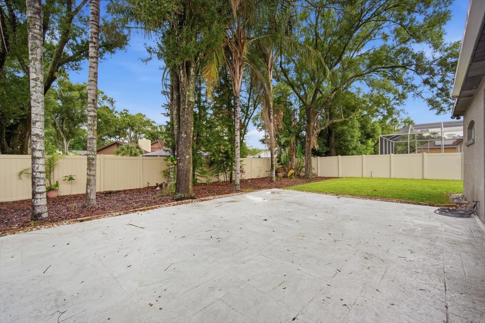 Backyard