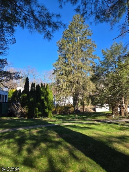 Side yard