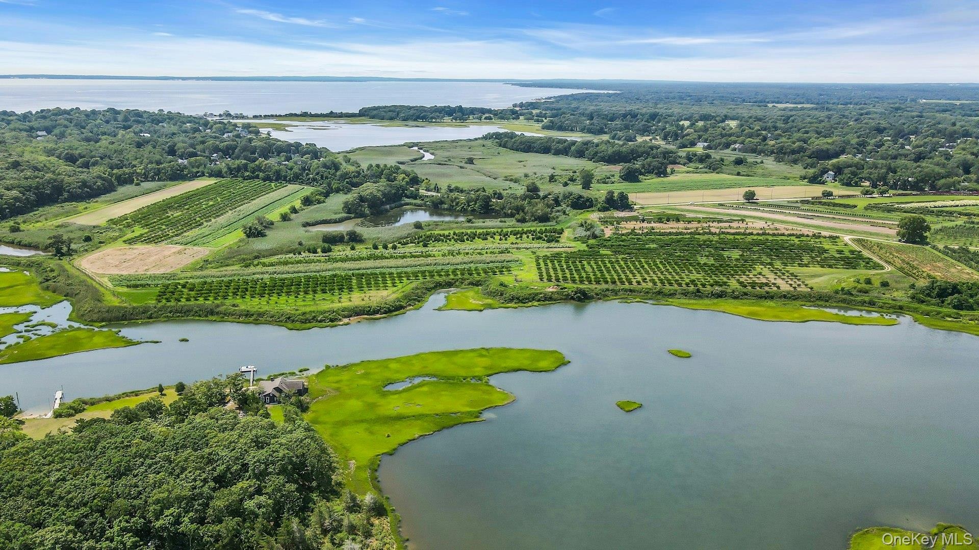 Coastal landscape featuring a large body of water, extensive green areas, and cultivated fields
