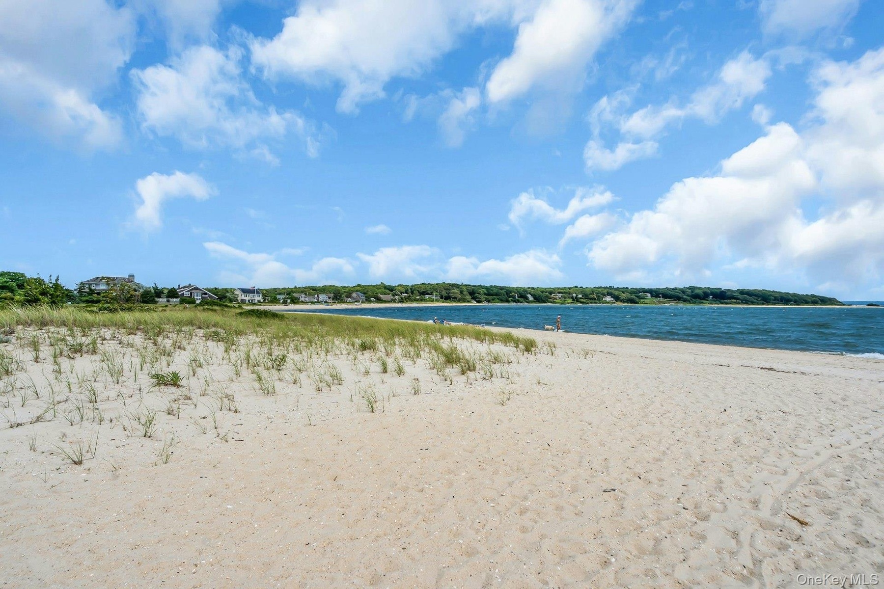 Sandy beach with natural dune grass and waterfront access