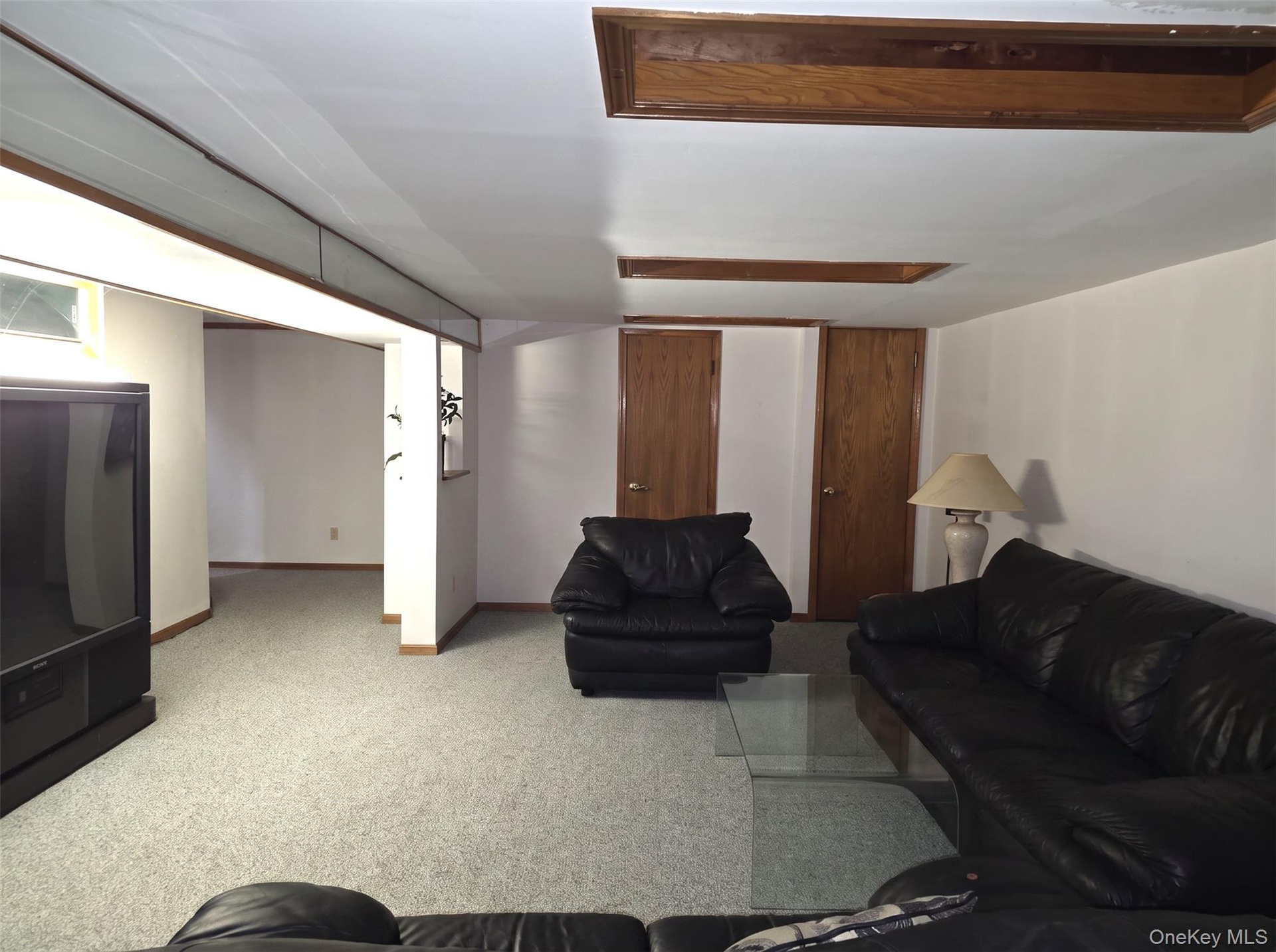 Full Baement Family Room View