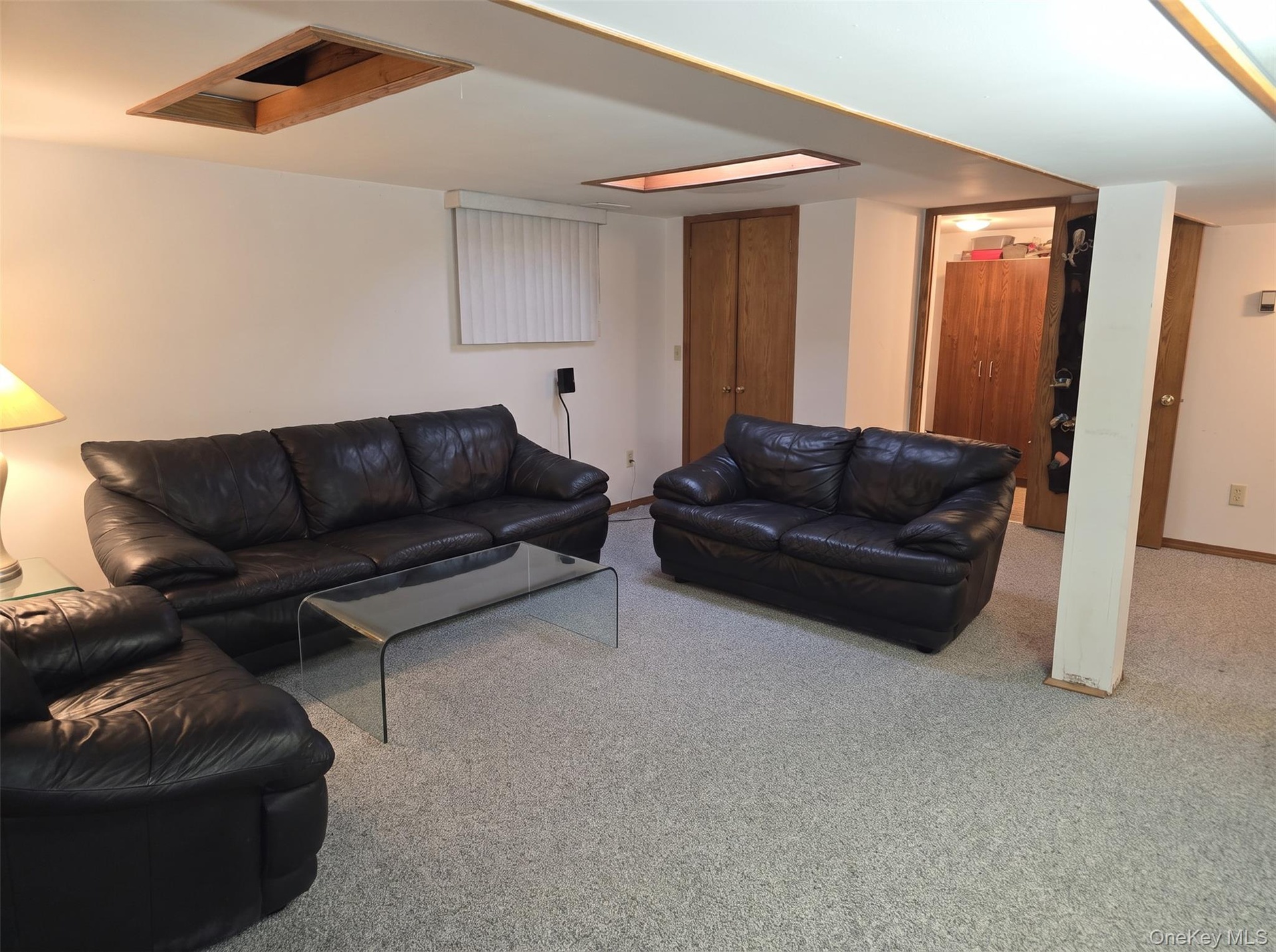 Full Basement Family Room