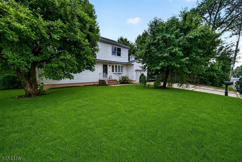 Yard