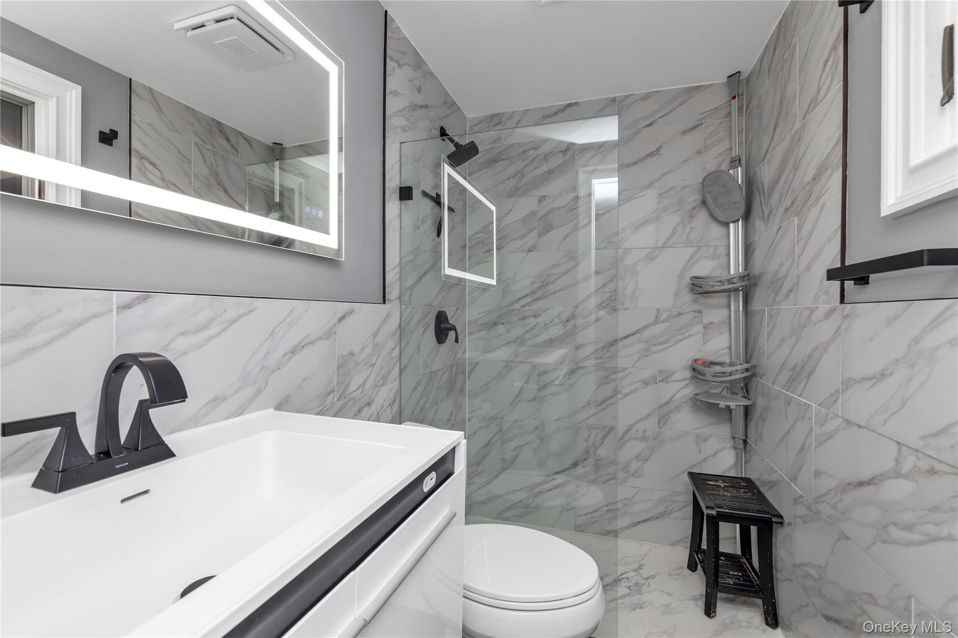 Lowe Level full bathroom