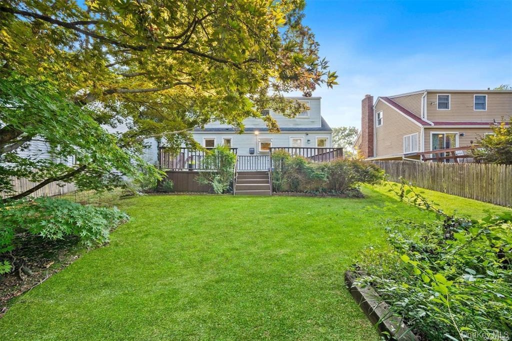 back of yard