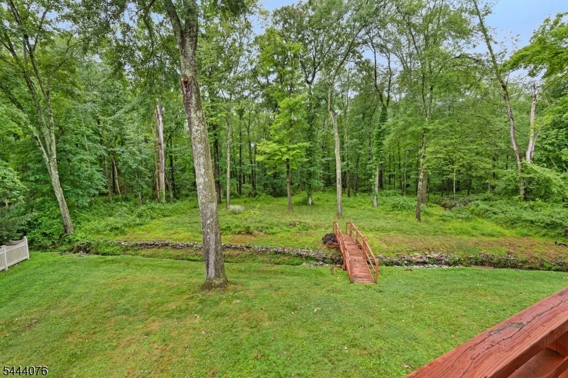 Backyard Oasis