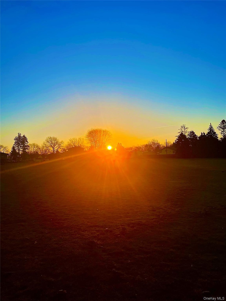 Open field sunrise beyond backyard fence in Dorothy Street Park entered via backyard gate!