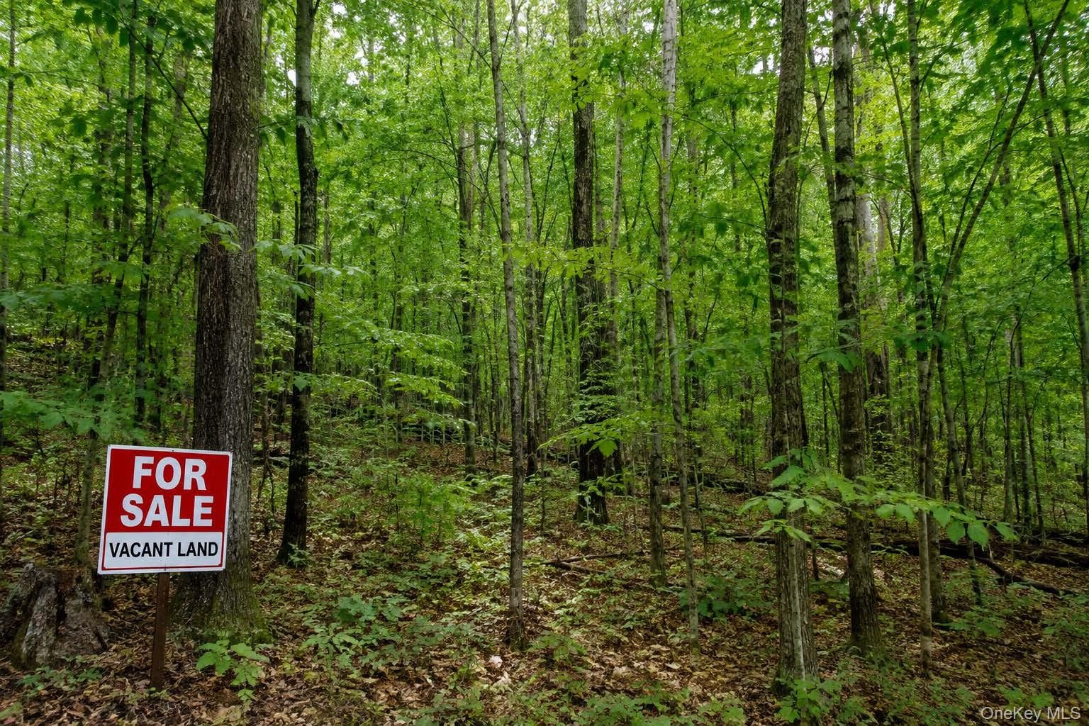 3.63 Acres Vacant Land