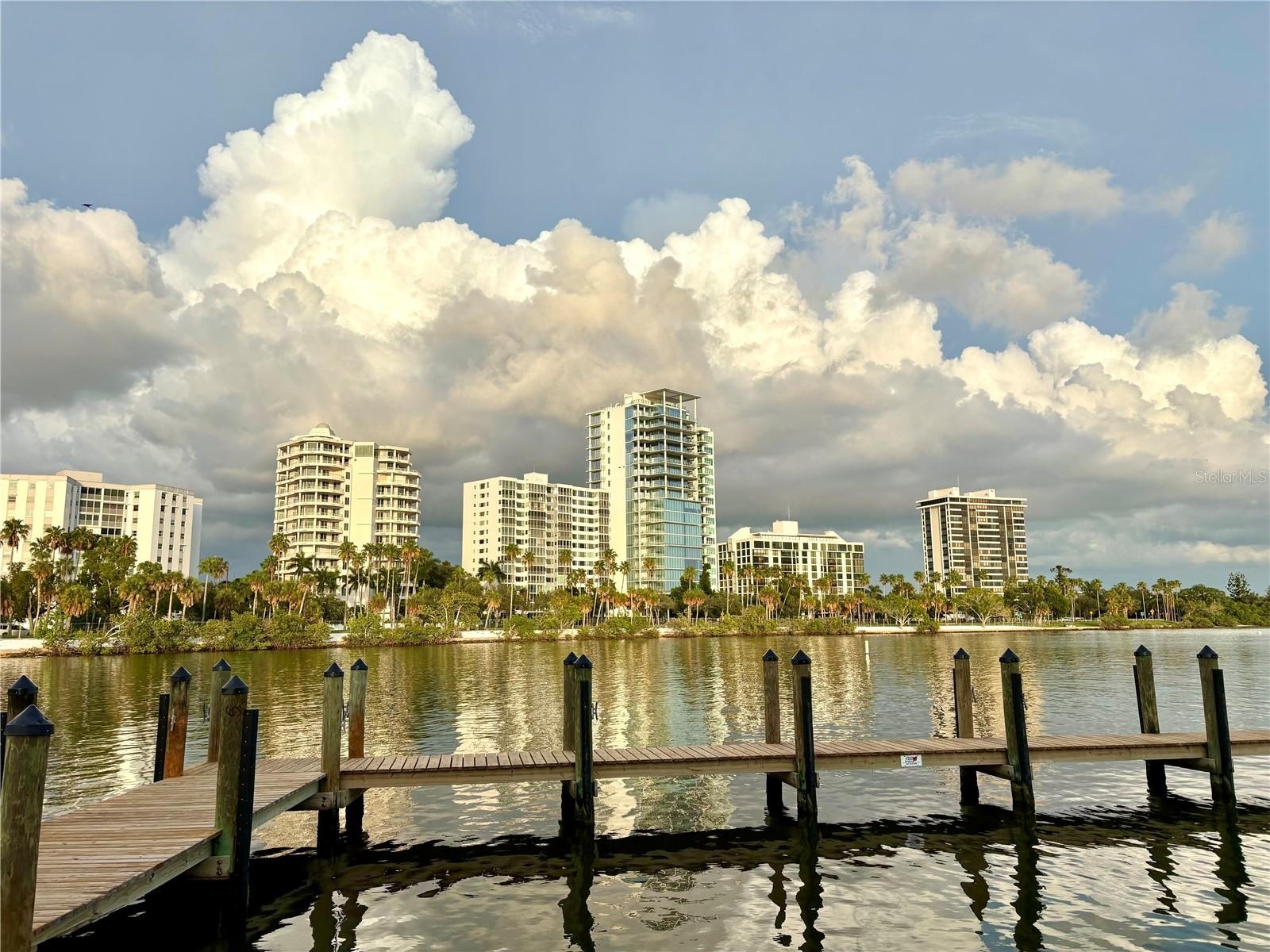 ESSEX HOUSE FROM Bayfront Park .25 miles away