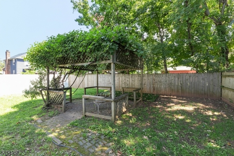 Backyard 1