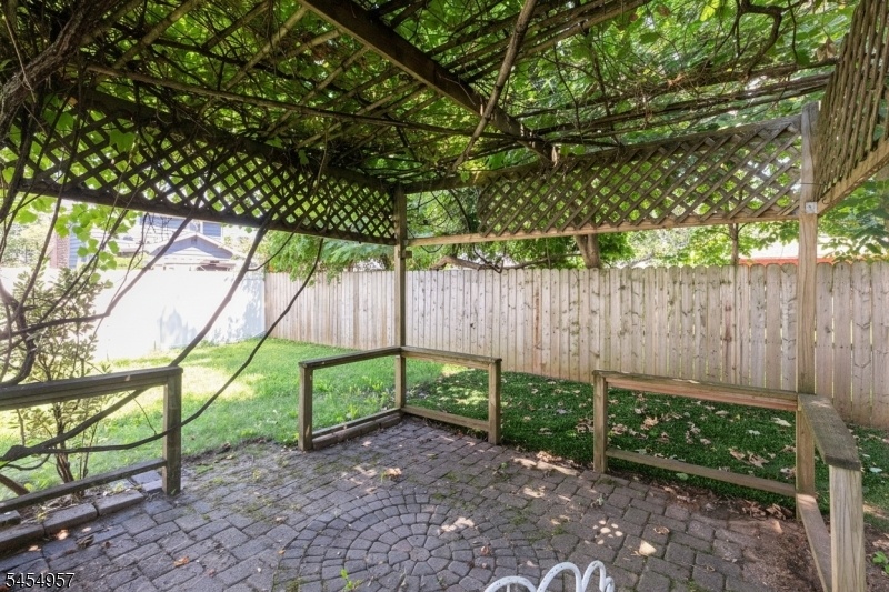 Backyard 2