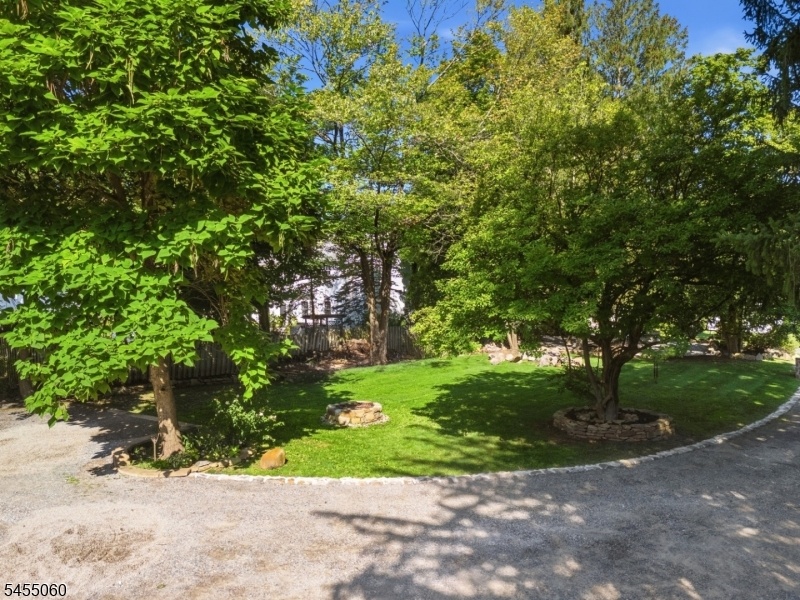 Naturally shaded yard area