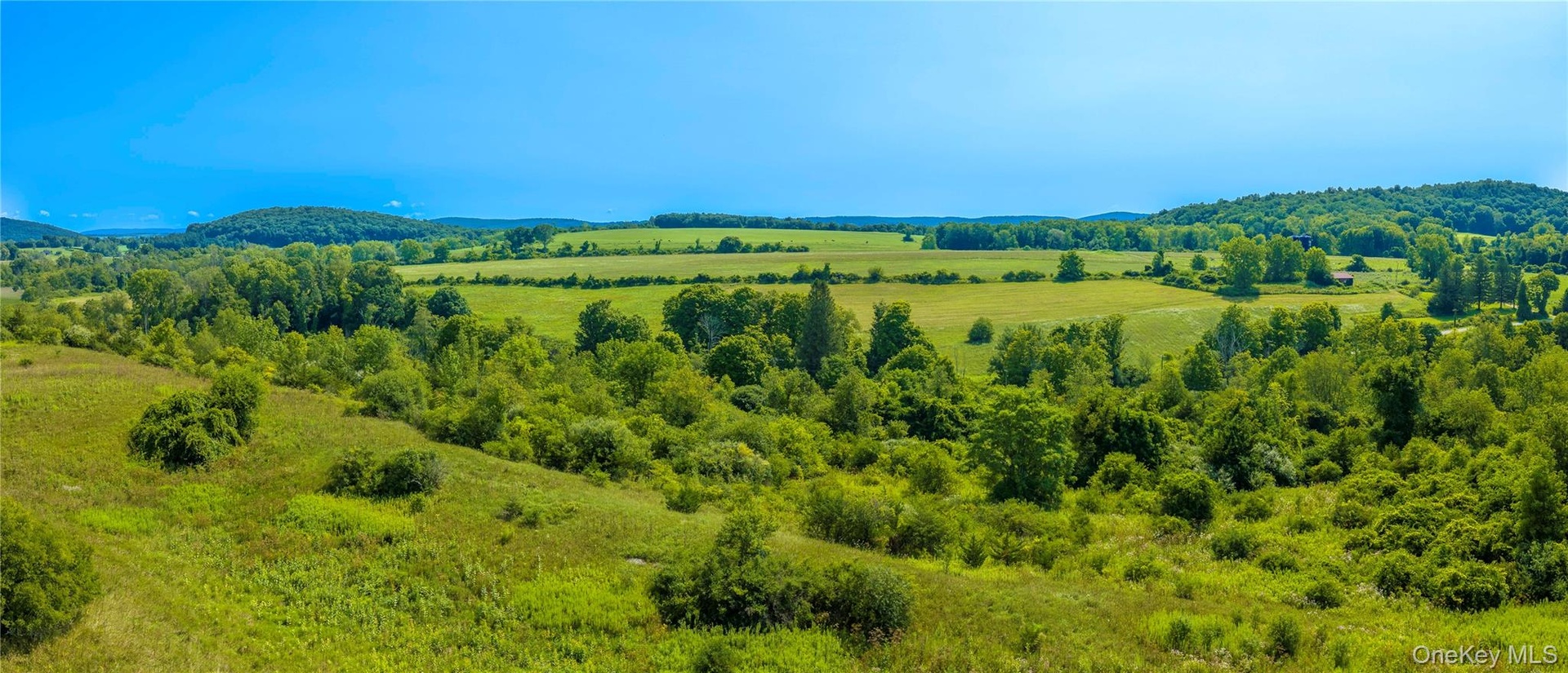 Incredible views from the property to the east towards Sharon Station Road. Multiple potential building sites offer privacy, solitude, and breathtakin