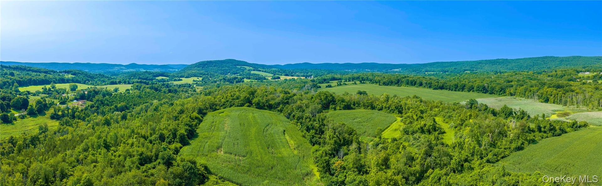 Ponds, streams, wetlands, and wooded areas create a diverse landscape that is particularly attractive for waterfowl hunting and other recreational pur