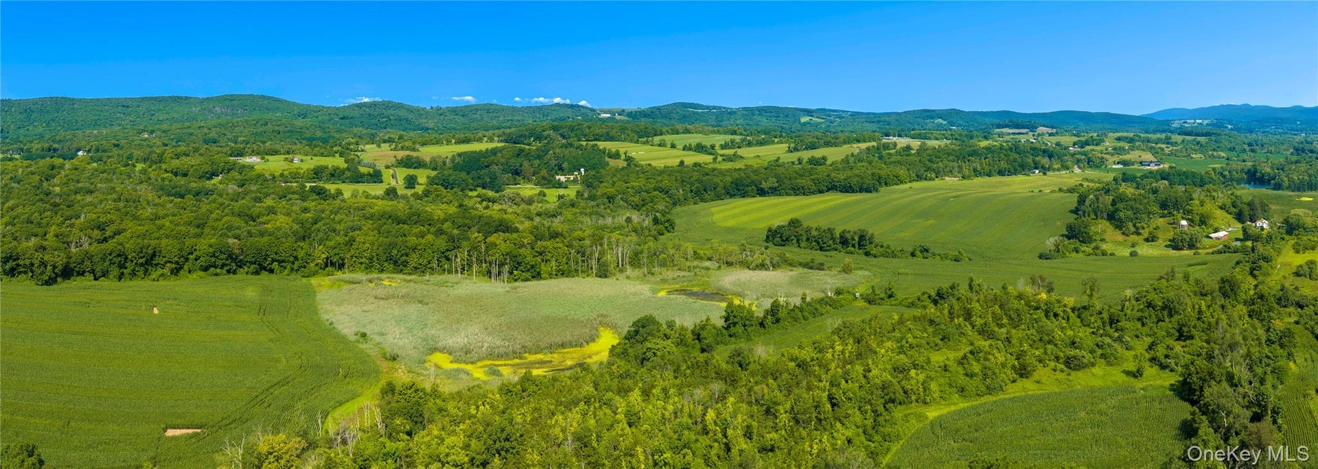 Center of the property with the pond and wetlands. Trails weave through the woods between the two parcels, creating a natural connection throughout th