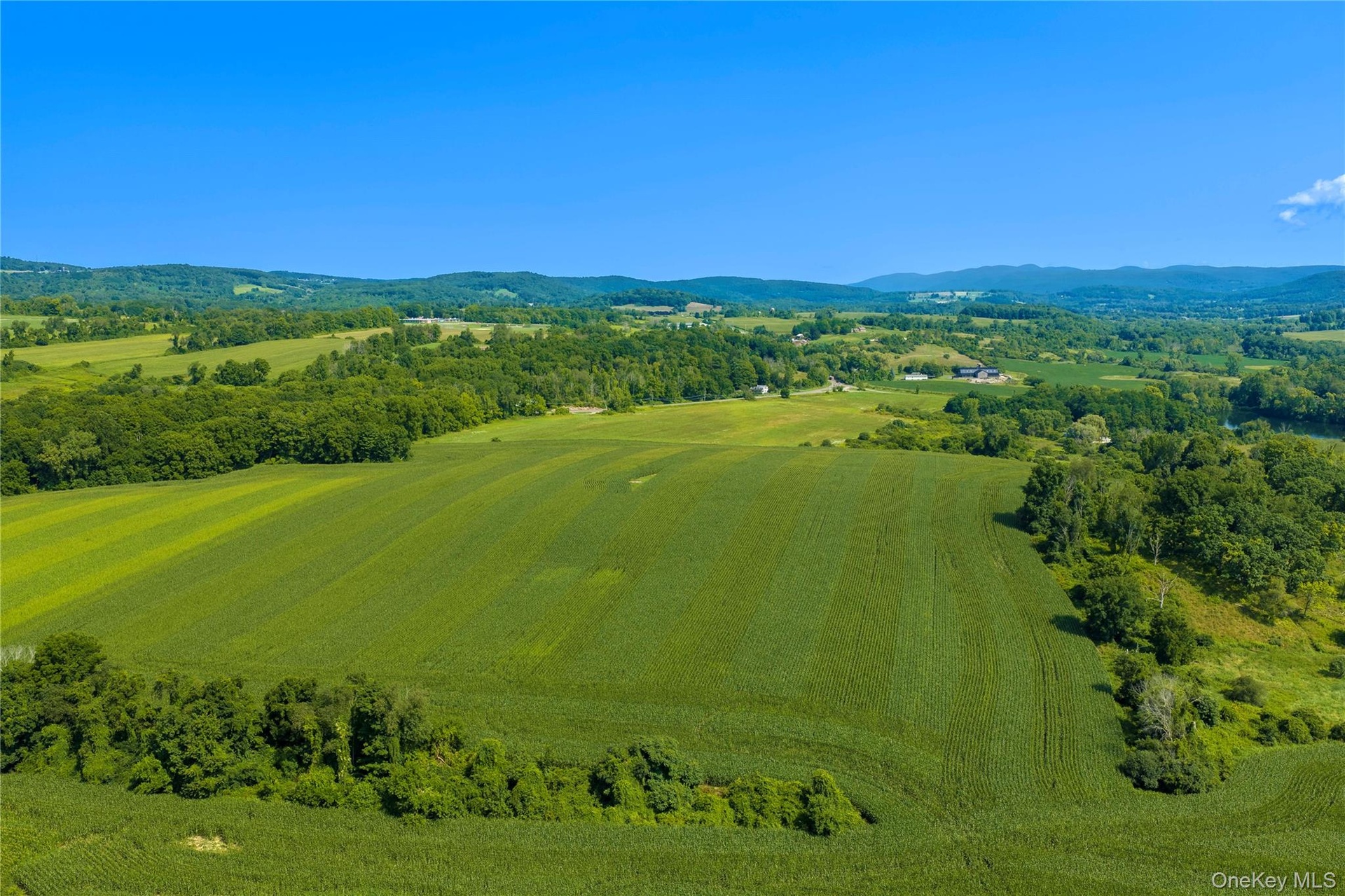North field, approximately 50 acres cleared, with Route 22 on the left.