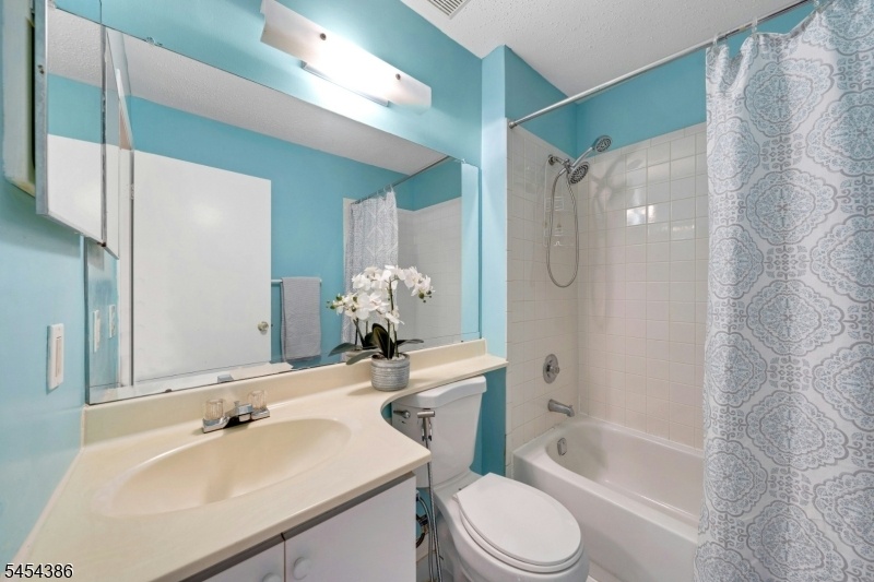 Hall Bathroom