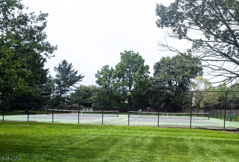Tennis/ Pickel court