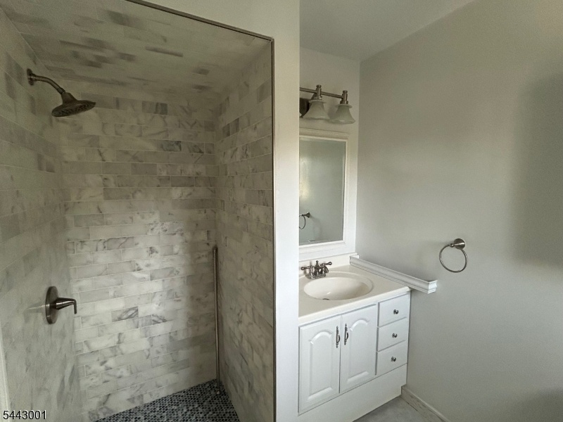 Primary Bath walk-in shower
