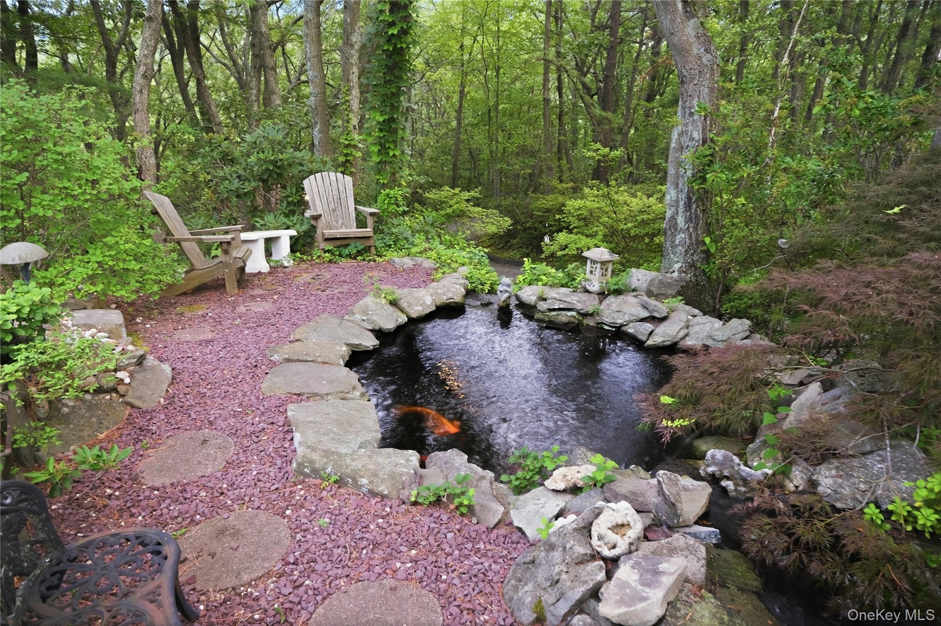 Koi Pond