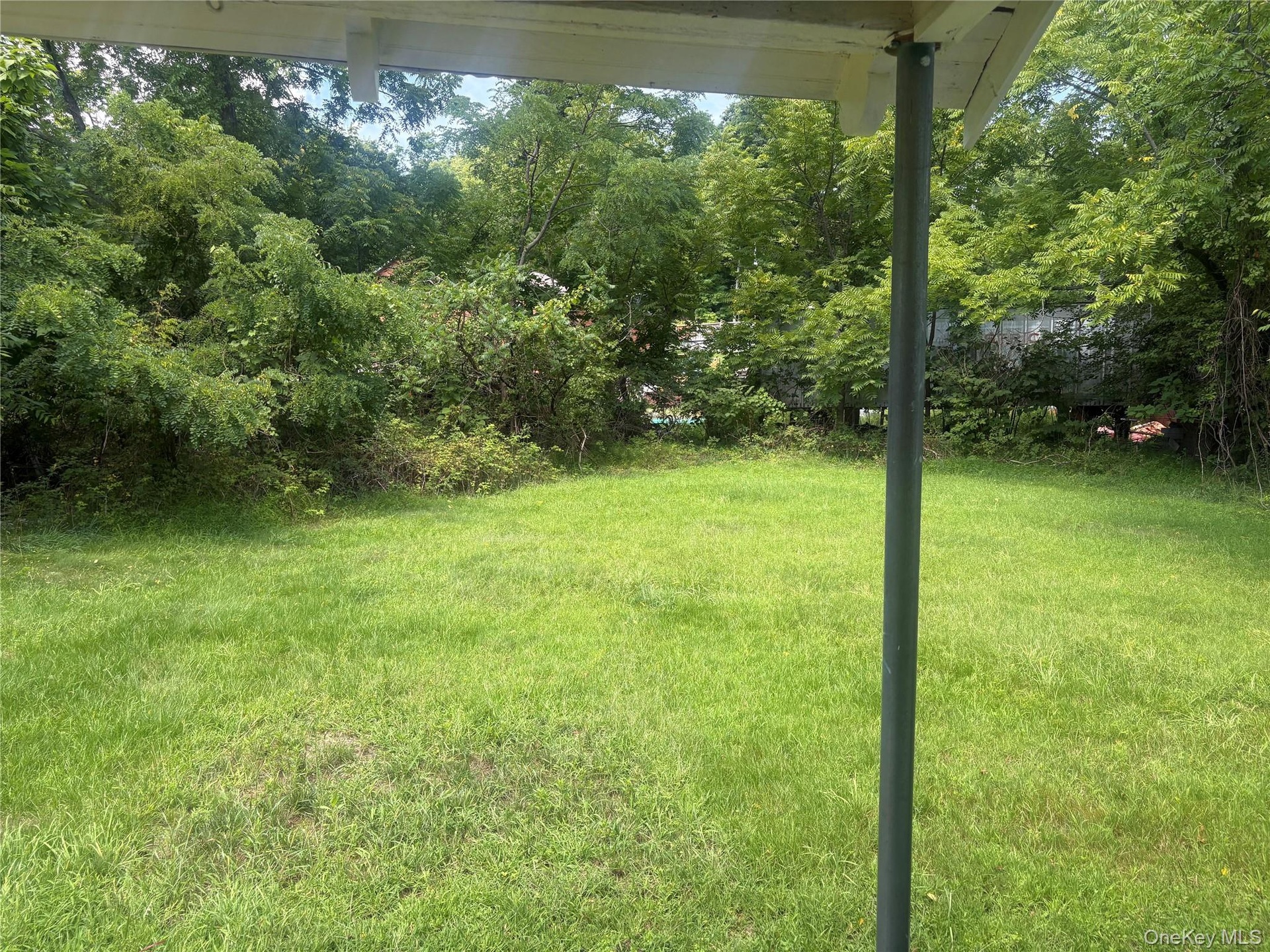 Expansive grassy yard area with mature trees and foliage bordering the perimeter