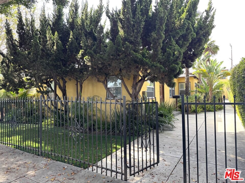 Front View