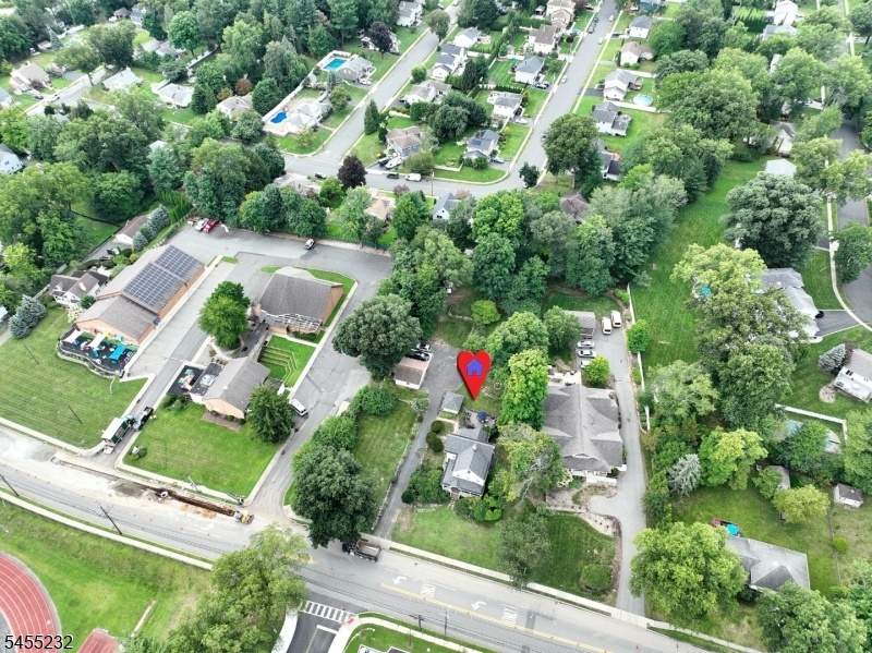Tree Lined Community