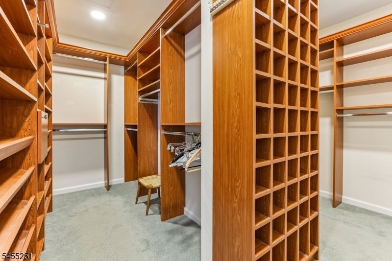Walk-in Closet Master