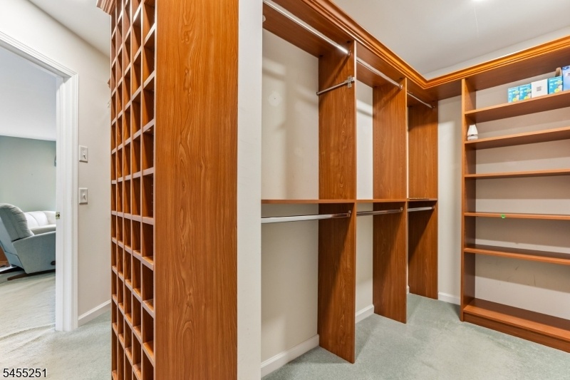 Custom Walk-in closet Master