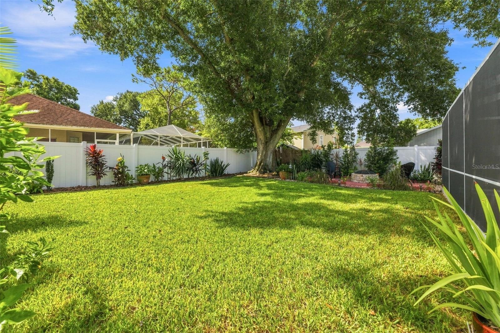 Large & Lush Backyard