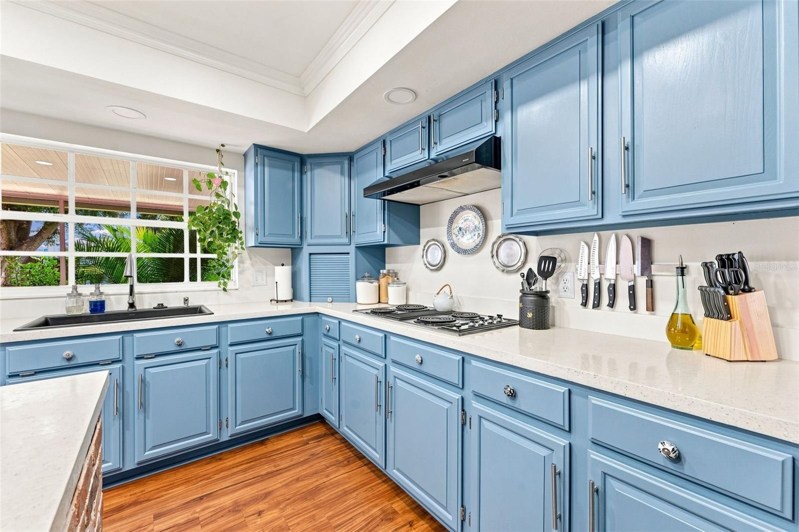 Kitchen with  Expansive Cabinetry