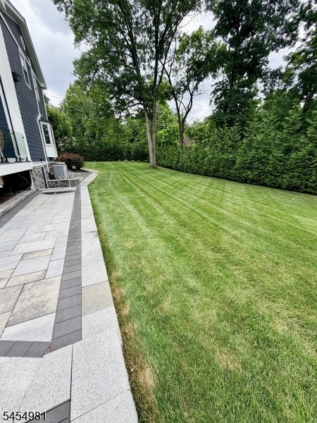 Lush Green Grass
