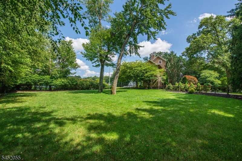 Spacious Side yard